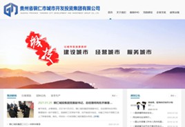 七星关城市开发投资集团有限公司