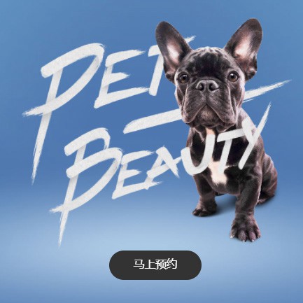 七星关宠物中心小程序开发