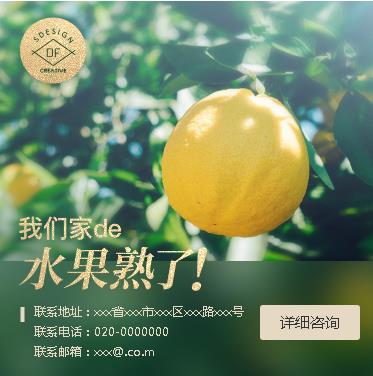 七星关果园果林小程序开发